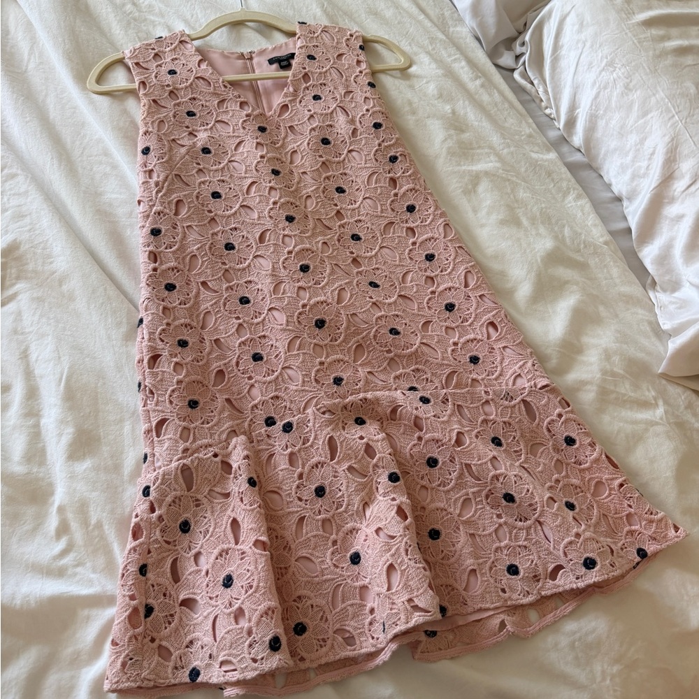 Ann Taylor Pink Floral Lace A-Line Dress